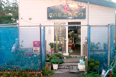 花の店ぷらんつ